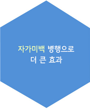 자가 치아 뼈이식재