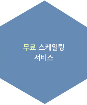자가 치아 뼈이식재